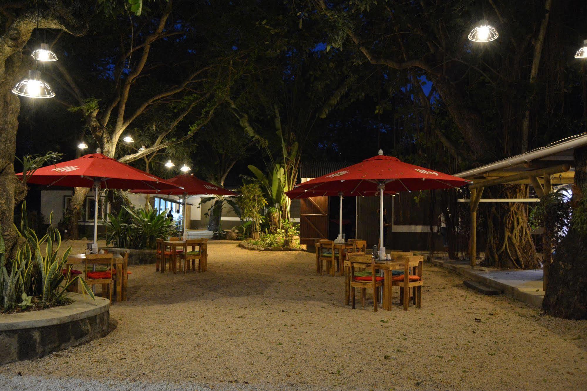 Vanilla House Riviere Noire Exterior photo